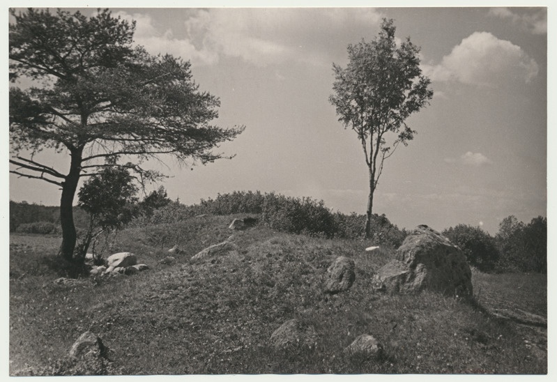 foto, Viljandimaa, Mustivere küla Kiisamäed 1960 foto A.Kiisla