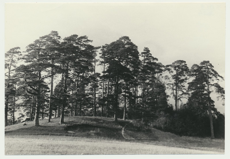 foto Viljandimaa Holstre Kindralimägi u 1980 foto L.Vellema