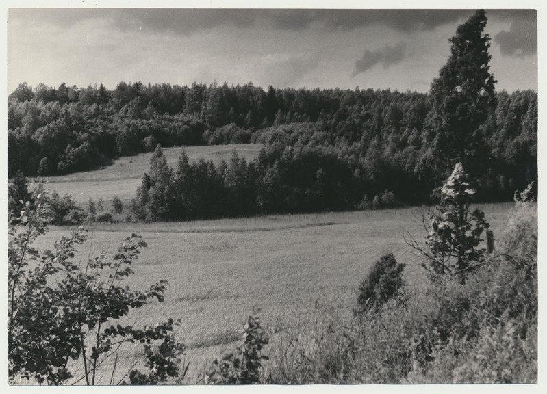foto Holstre Tornimägi, Laki mäed, 06.1961 August Kiisla