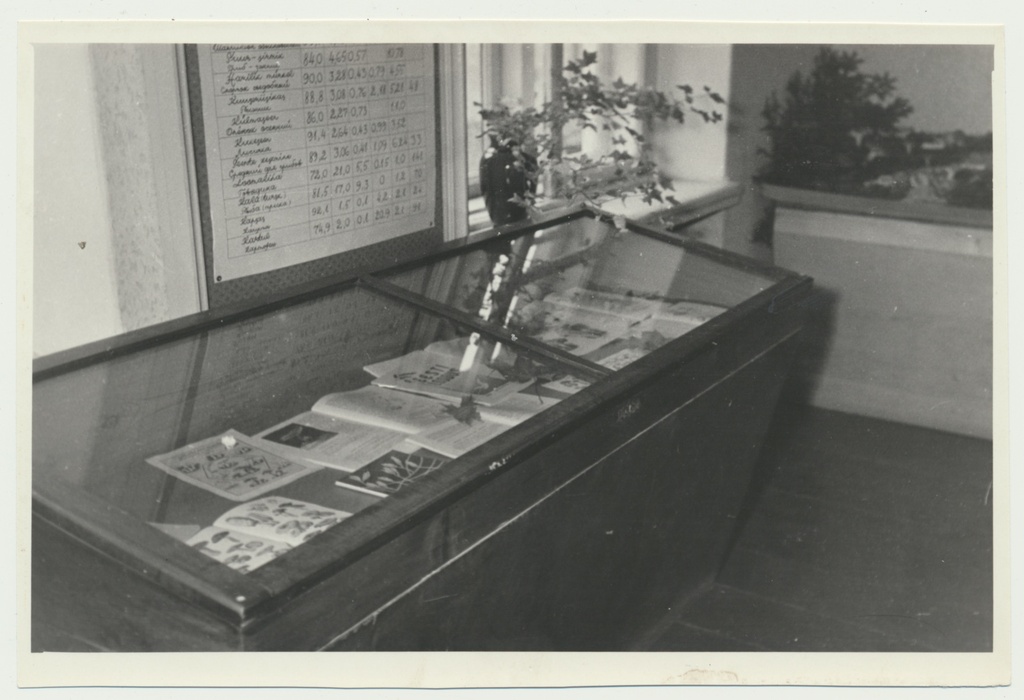foto Viljandi muuseum seenenäitus 1960 foto U.Roosimaa