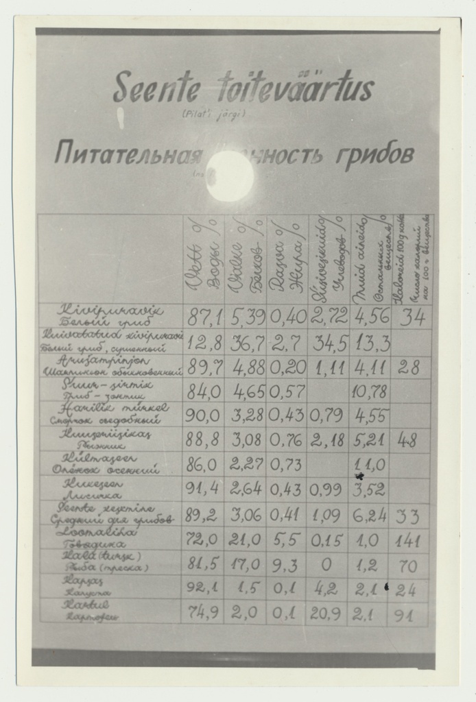 foto Viljandi muuseum, seenenäitus 1960 foto U.Roosimaa