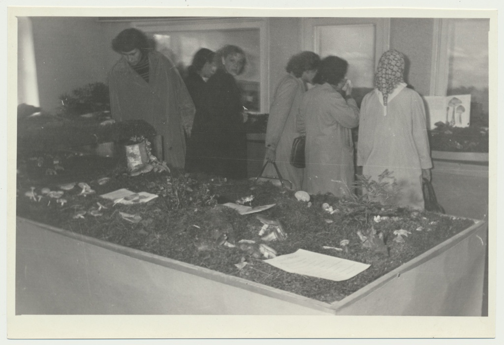 foto Viljandi muuseum, seenenäitus, külastajad 1960 foto U.Roosimaa