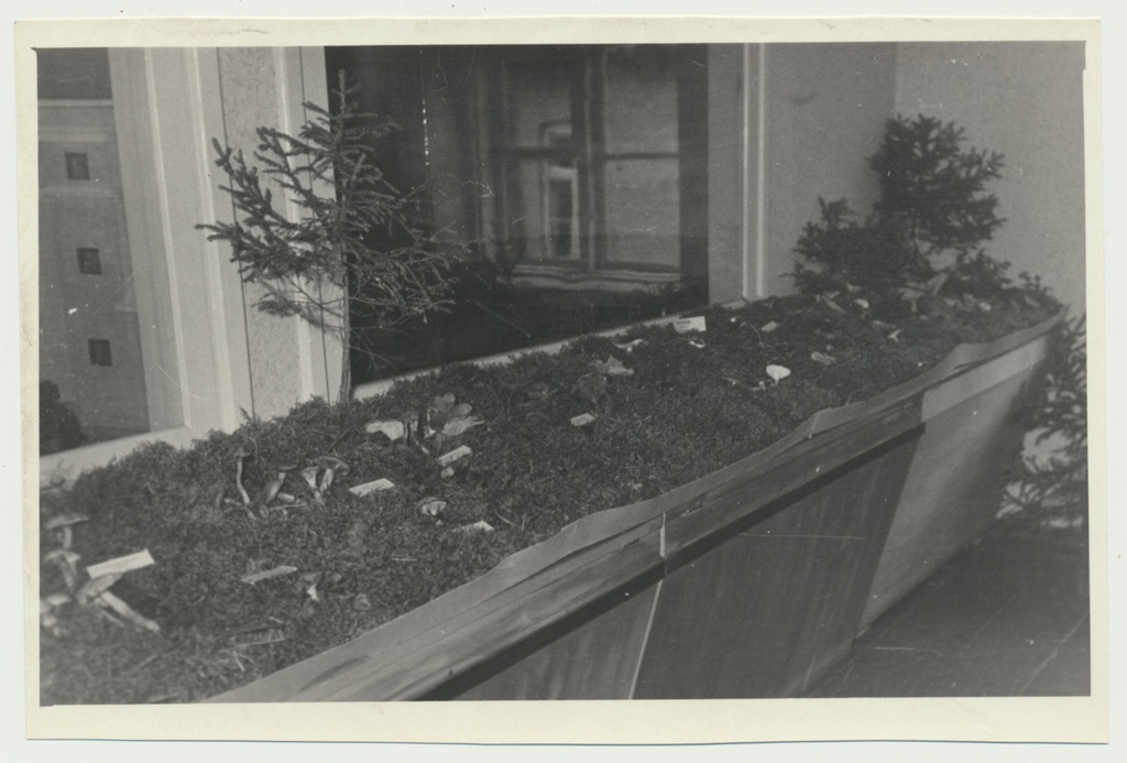foto Viljandi muuseum, seenenäitus 1960 foto U.Roosimaa