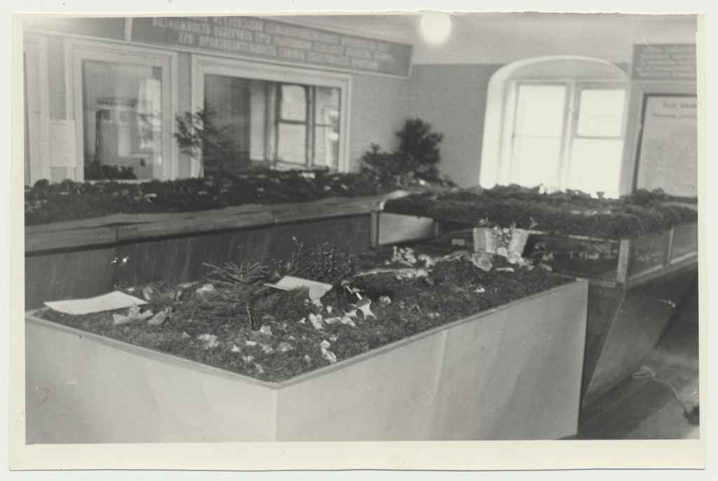 foto Viljandi muuseum, seenenäitus 1960 foto U.Roosimaa