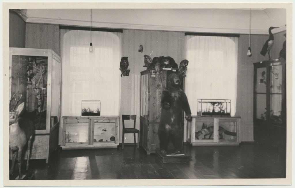 foto Viljandi muuseum, ekspositsioon, loodus, 1958 foto L.Vellema