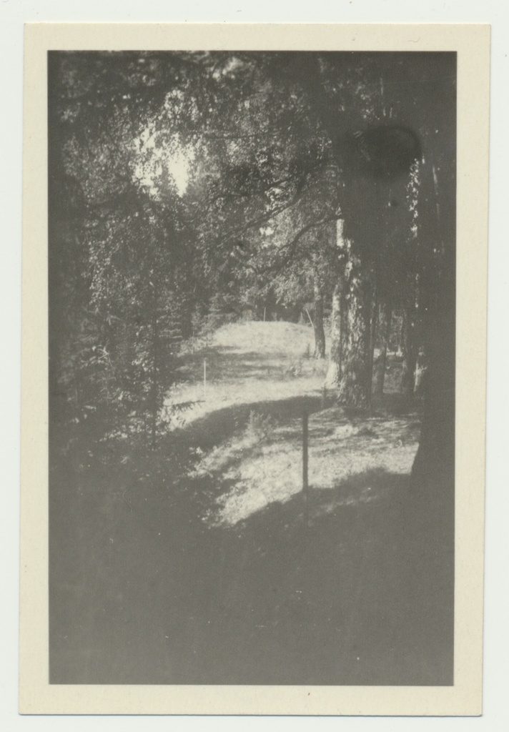 foto Arheoloogilised väljakaevamised, Naanu linnamägi 1952 foto Harri Moora