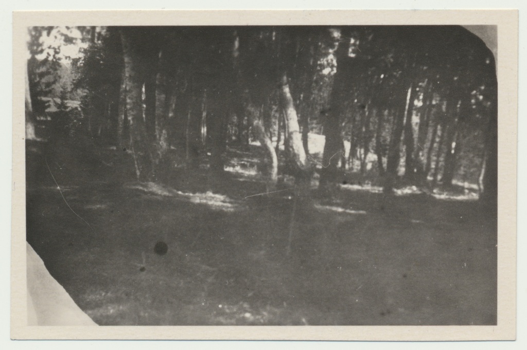 foto Arheoloogilised väljakaevamised, Naanu linnamägi 1952 foto Harri Moora