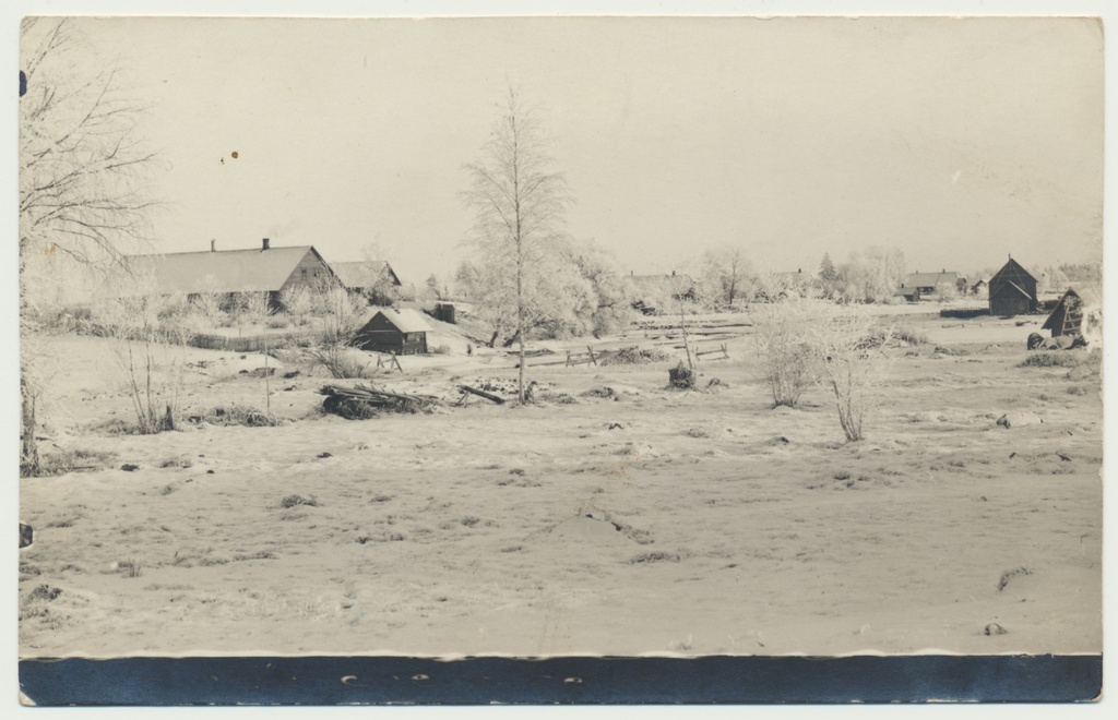 fotoSuure-Jaani khk, Jälevere, Tiidu talu, 1928 talv