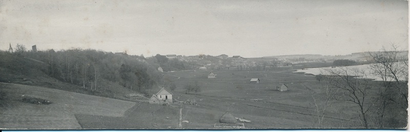 foto, Viljandi, Huntaugu ja järveäärne heinamaa küünidega, taamal linn, u 1910 F J. Riet