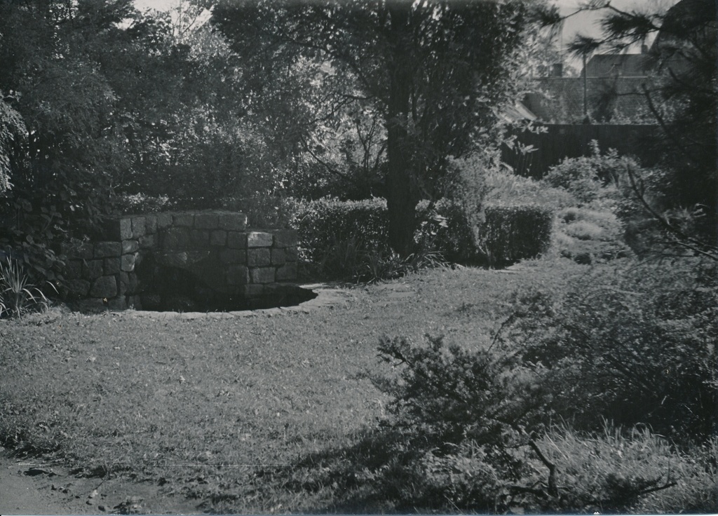 foto Viljandi Riet'i dendropark 1960 F A.Kiisla