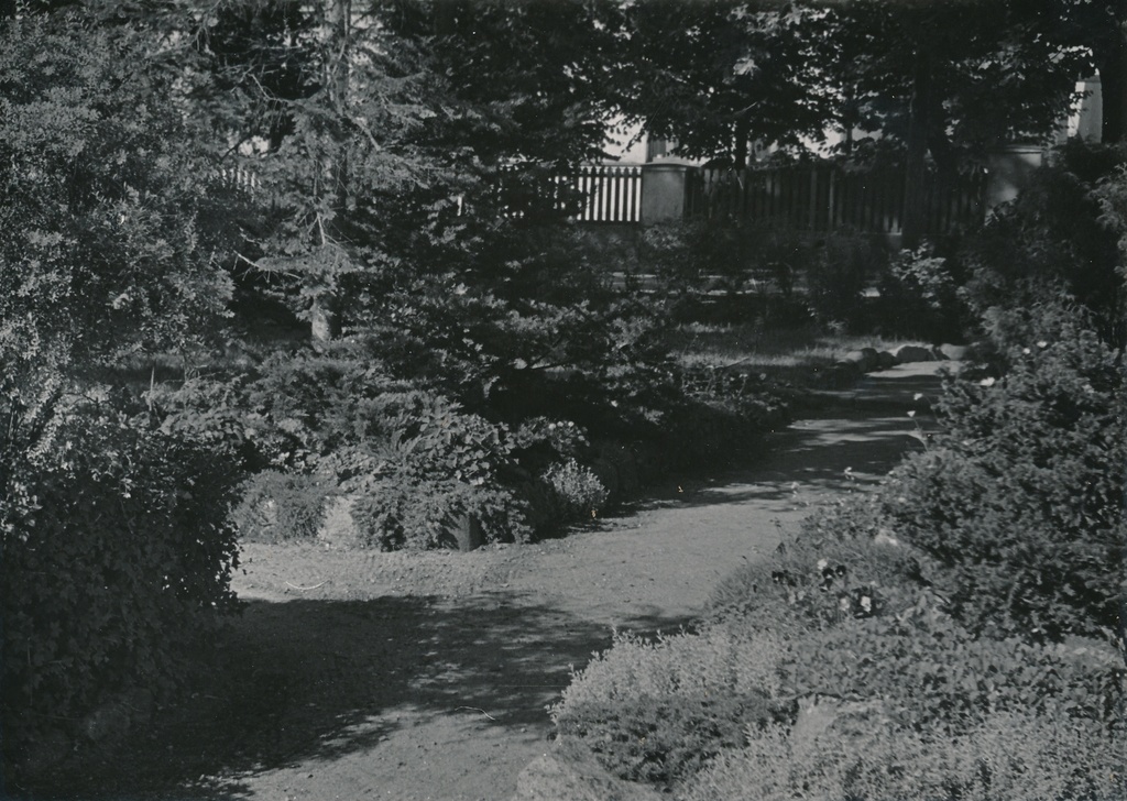 foto Viljandi Riet'i dendropark 1960 F A.Kiisla