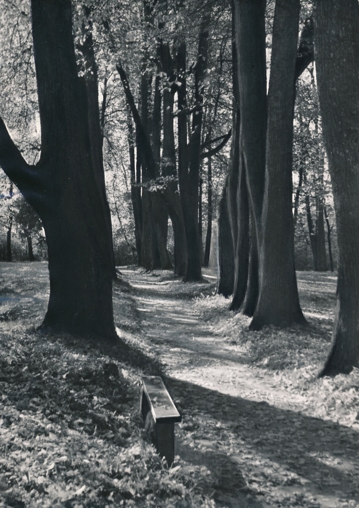 foto Viljandi lossipark, Filosoofia pst 1960 F A.Kiisla