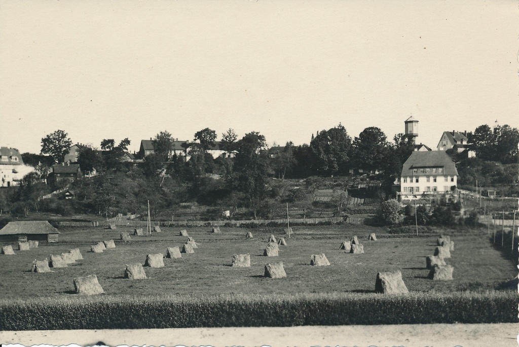 foto Viljandi järveäärne heinamaa, linn