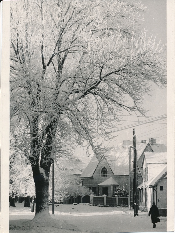 foto Viljandi Pioneeride Maja