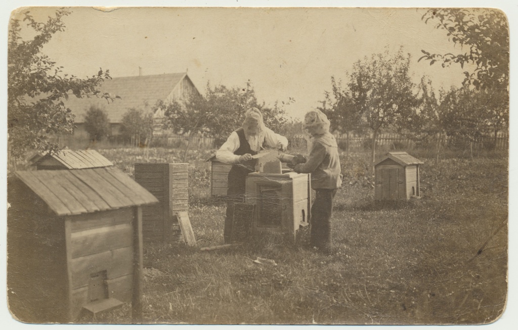 foto, Viiratsi, Kangrumatsi talu mesila u 1925