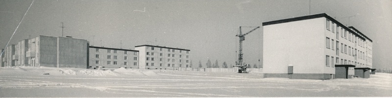 foto Viljandi Riia mnt, Männimäe uuselamud 1976 foto E.veliste