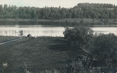 foto Viljandi, vaade Trepimäelt: karjamaa, järv, vastaskalda alad u 1910 foto J. Riet  duplicate photo