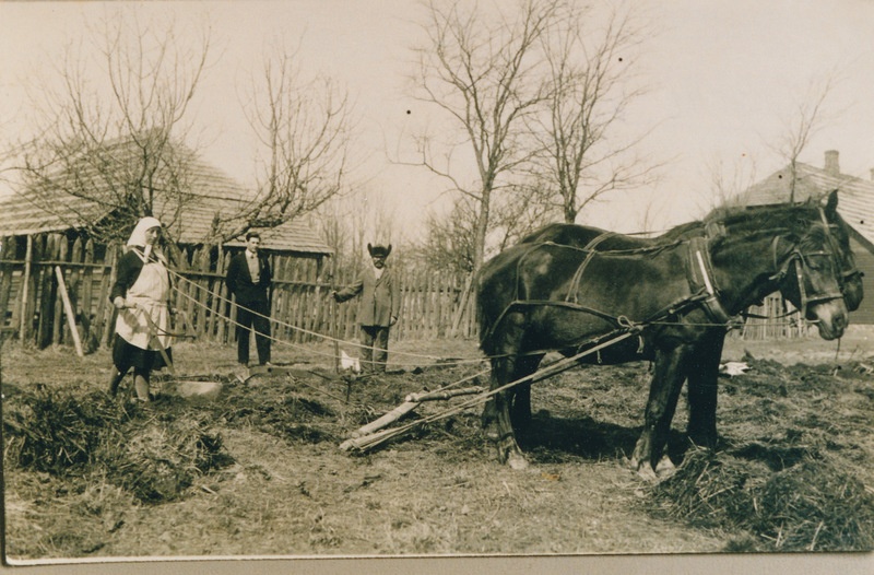 Naine kündmas maad kahe hobusega koolimaja lähedal Koorküla vallas 24.04.1930