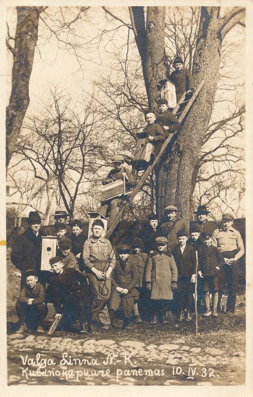 Valga linna noorkotkad kuldnokapuure üles panemas "Säde" pargis