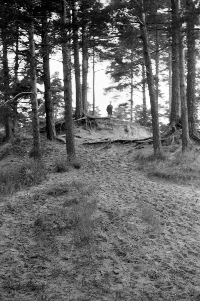 Cloud forest. 24.6.68