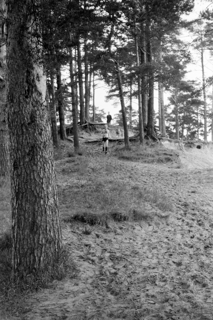 Cloud forest. 24.6.68