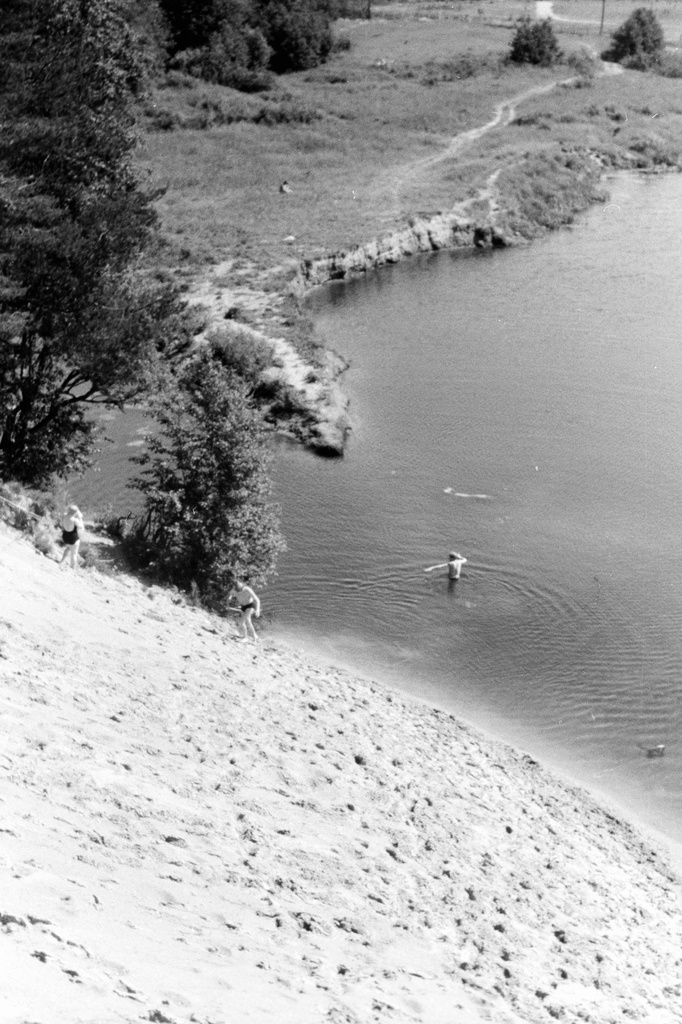 Cloud forest. 24.6.68