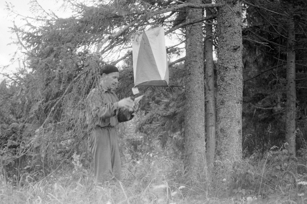 Orient. Crochet. 29 Sep 62