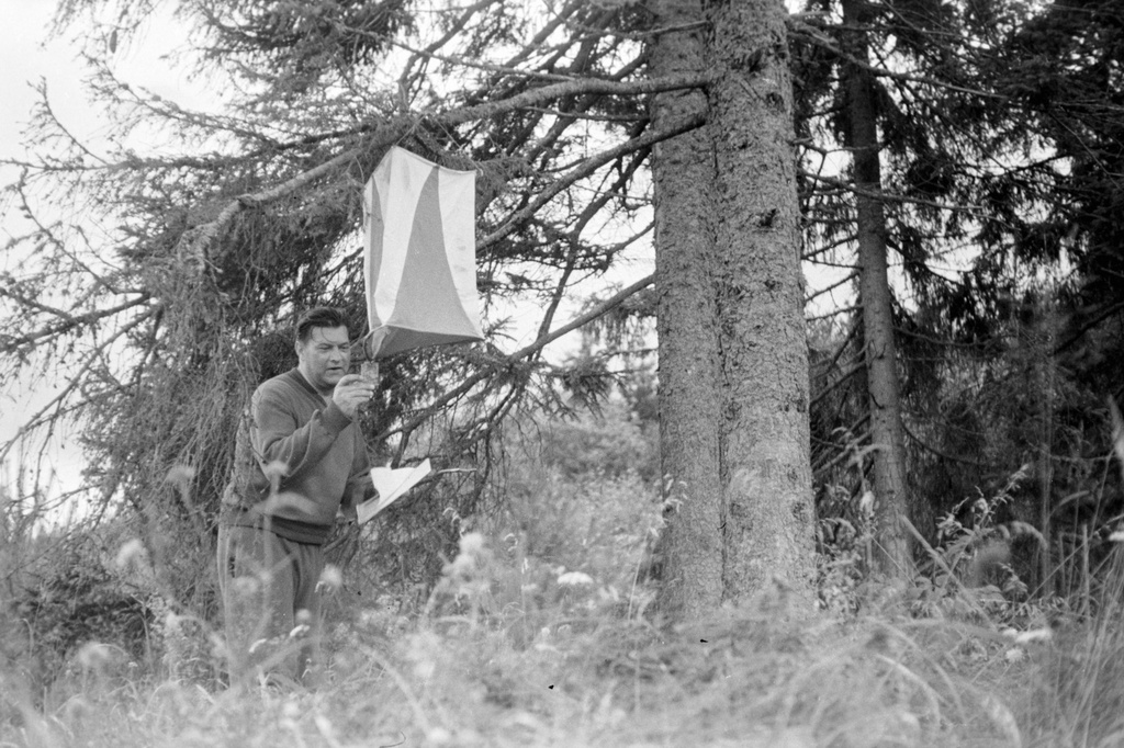 Orient. Crochet. 29 Sep 62