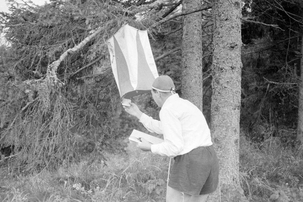 Orient. Crochet. 29 Sep 62