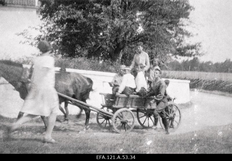 Kuressaare German school students traveling along Saaremaa.