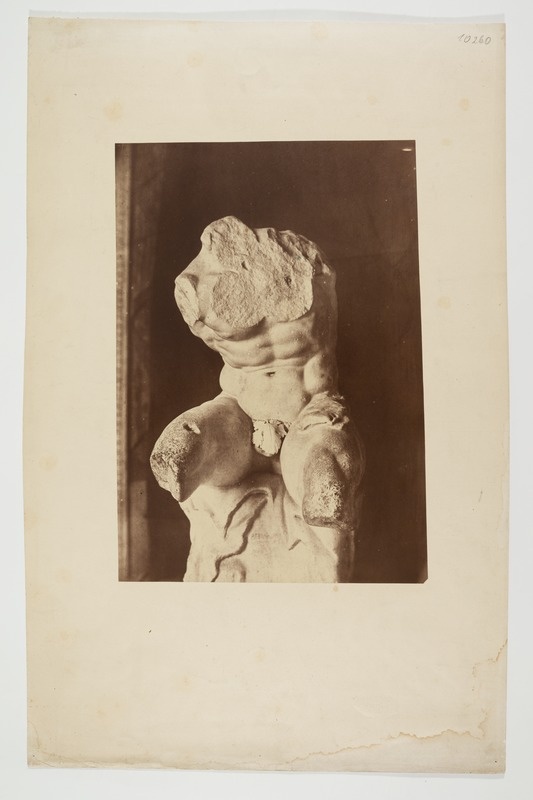Belvedere torso