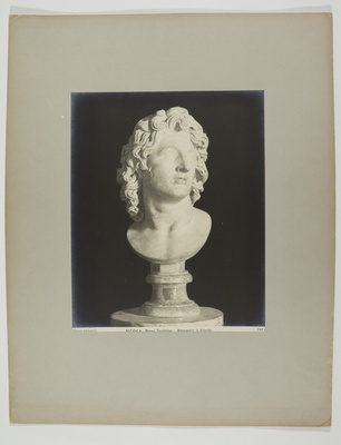 Aleksander Suure portreebüst. Skulptuur Kapitooliumi muuseumis Roomas  duplicate photo