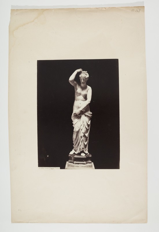 Aphrodite Urania. Skulptuur Firenze muuseumis