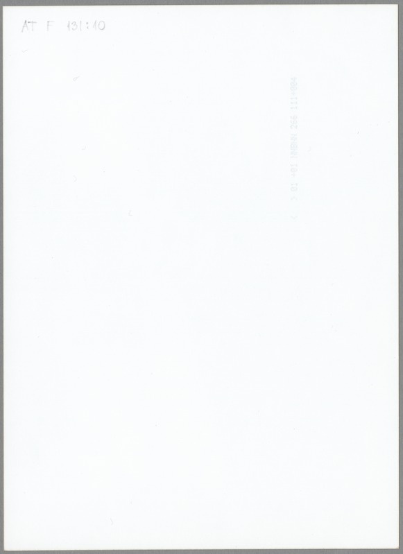 Fotod Jaak ja Jana Mae abielu registreerimiset