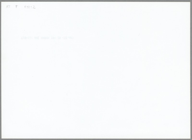 Fotod Jaak ja Jana Mae abielu registreerimiset