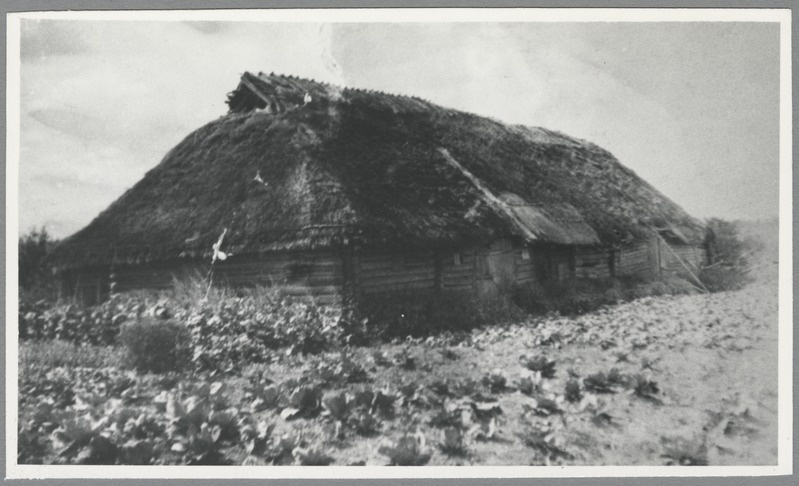 Fotod kirjaniku kodukohast ja selle ümbrusest.Tammsaare-Lõuna talu vana rehetare