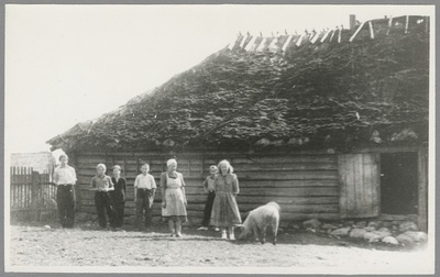 Fotod kirjaniku kodukohast ja selle ümbrusest.Tammsaare-Põhja talu laut  duplicate photo