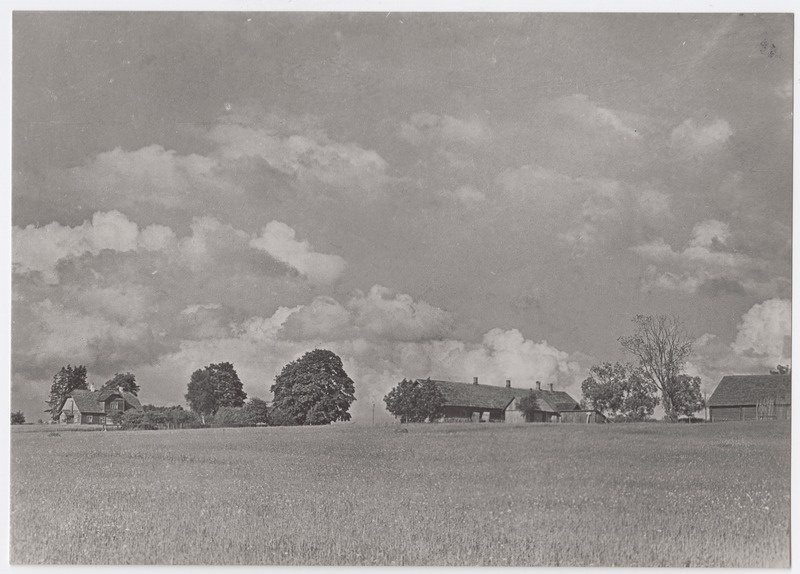 Vaade Tammsaare talule läänest