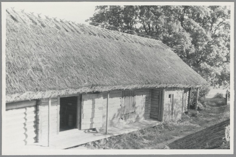 Tammsaare- põhja talu ait