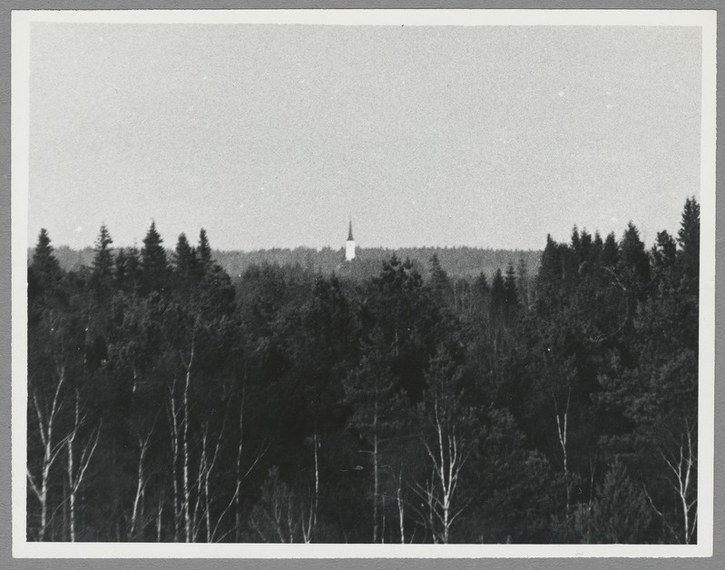 Vaade Tammsaarest Järva-Madise kirikule.