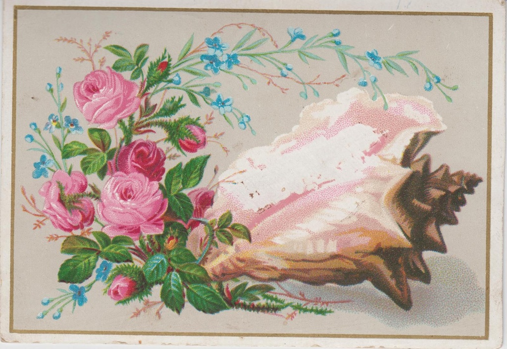 Värviline postkaart lillede ja merikarbiga.