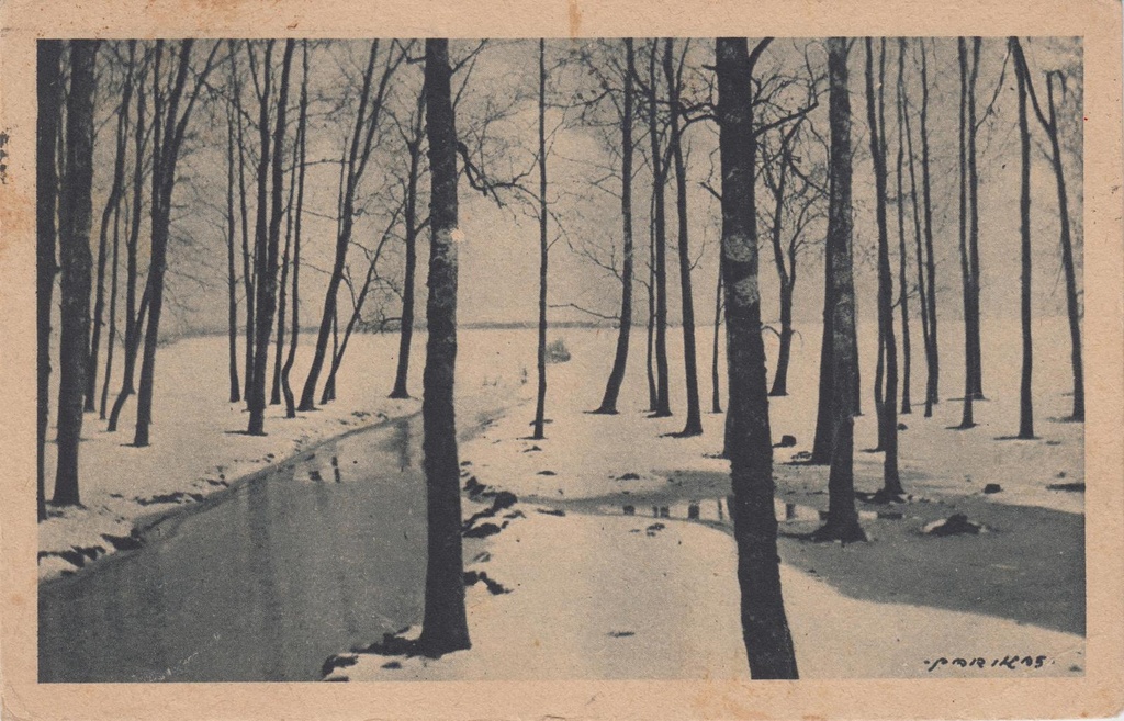 Mustvalge postkaart "Eesti tali".