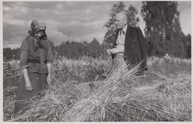 Linda Jakobson ja jurist prof. Leo Leesment Kurgja rukkipõllul.  duplicate photo