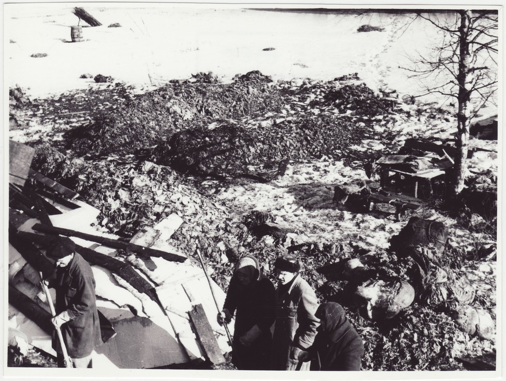 Pirita tee Tubaka ladu pärast tulekahju, 1950.a.