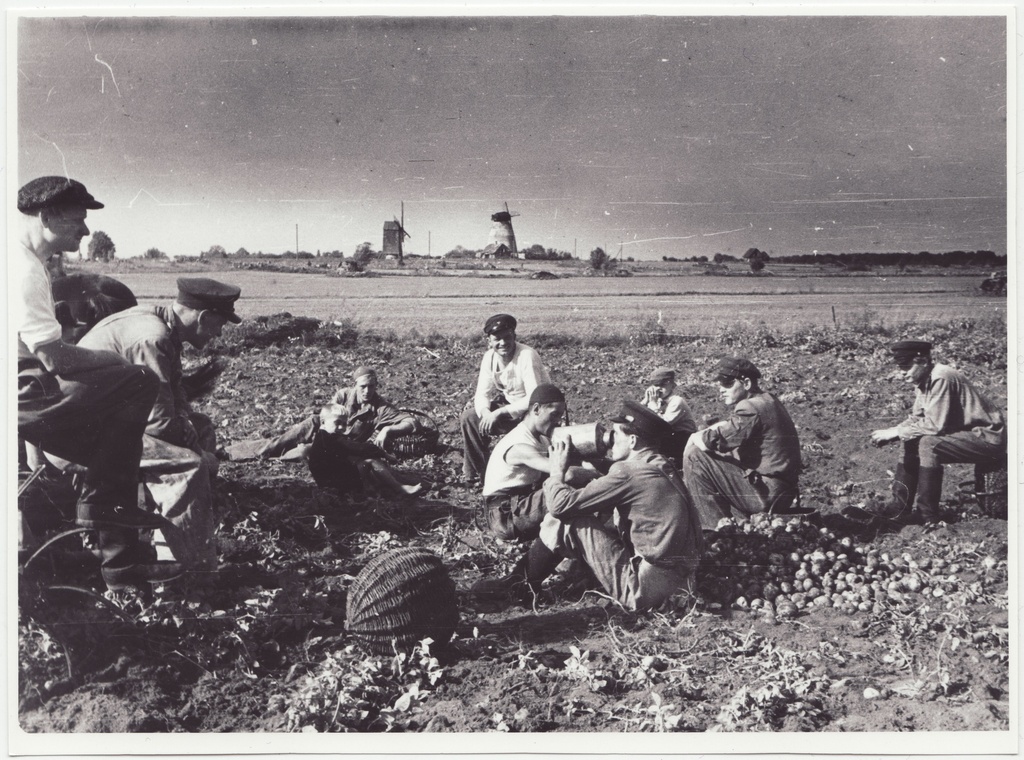 Tuletõrjekool Lihula rajooni Lembitu kolhoosi abistamas: puhkehetk kartulipõllul, 1950.a.