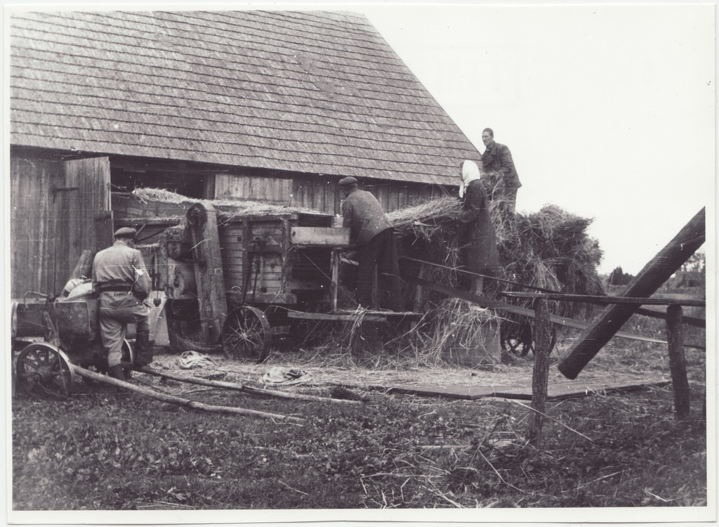 Tuletõrjekool Lihula rajooni Lembitu kolhoosi abistamas:  vilja masindamisel, 1950.a.