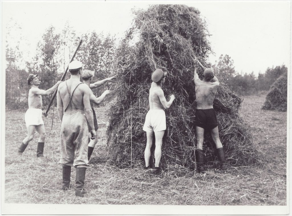 Tuletõrjekool Lihula rajooni Lembitu kolhoosi abistamas: kaerapõllul, 1950.a.