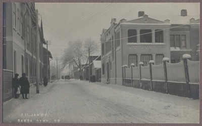 Photo, Viljandi, German Gymnasium, Jakobson tn 47c, approx. 1915  duplicate photo
