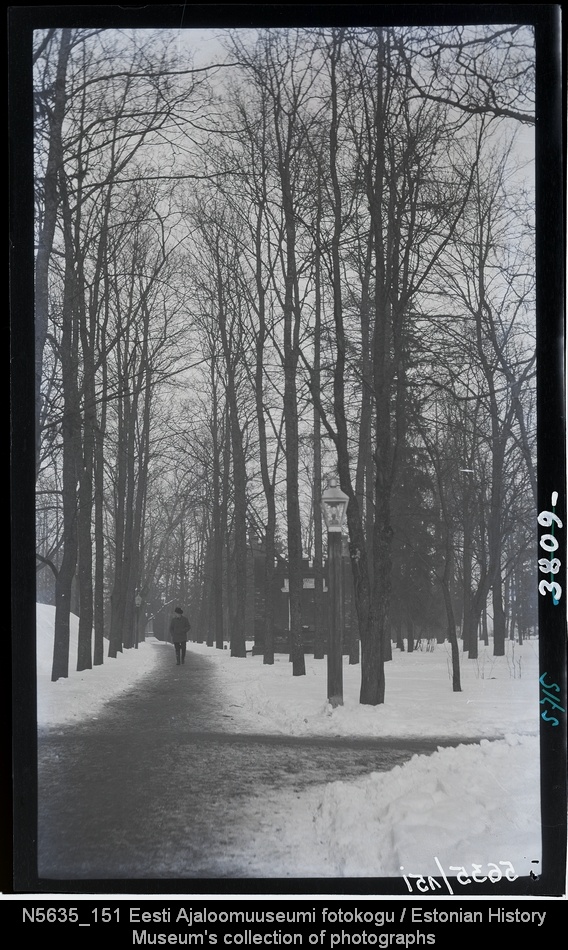 Allee Toomemäel