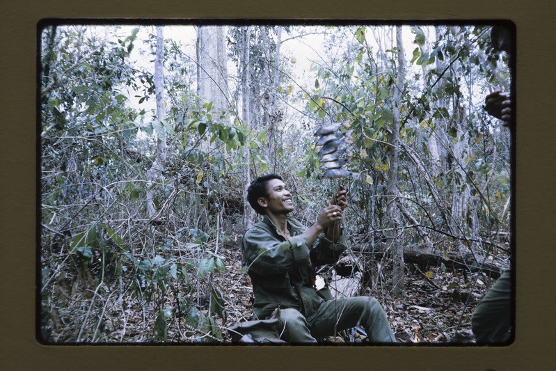 Vietnami sõdur metsas